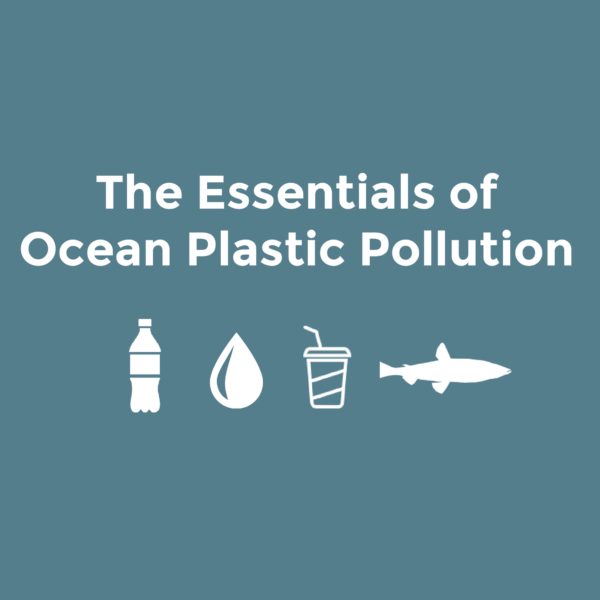 海洋塑料污染的必需品